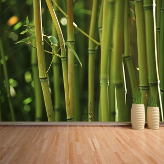 Fotomural Bambú