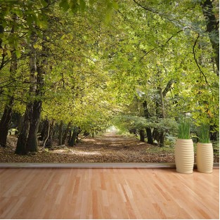 Fotomural Camino Bosque