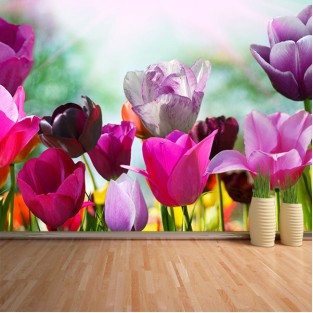 Fotomural Tulipanes Fotomural Tulipanes