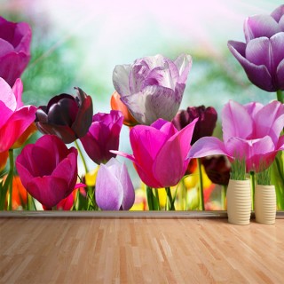 Fotomural Tulipanes