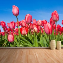 Fotomural Tulipanes 2