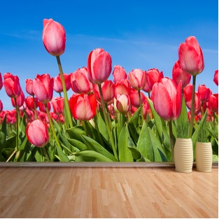 Fotomural Tulipanes 2 Fotomural Tulipanes 2