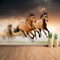 Fotomural Caballos