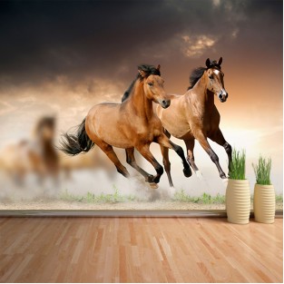 Fotomural Caballos Fotomural Caballos