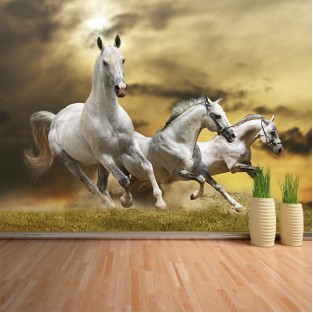 Fotomural Caballos blancos Fotomural Caballos blancos