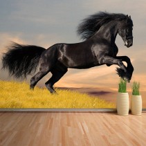 Fotomural Caballo negro