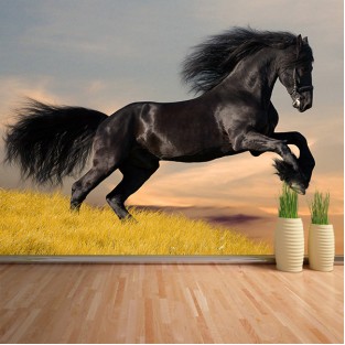 Fotomural Caballo negro