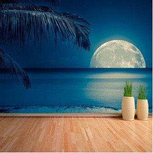 Fotomural Luna en la playa