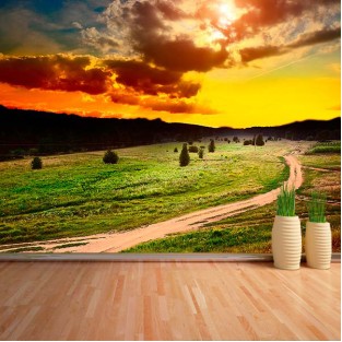Fotomural Atardecer Pradera