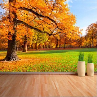 Fotomural Árboles en Otoño Fotomural Árboles en Otoño
