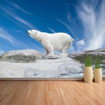 Fotomural Oso polar