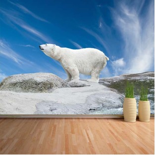 Fotomural Oso polar Fotomural Oso polar