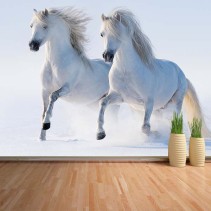Fotomural Caballos blancos 2