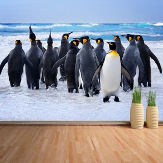 Fotomural Pingüinos