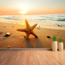 Fotomural Estrella de Mar