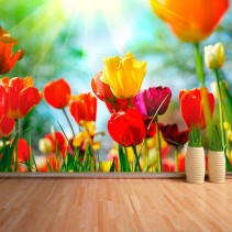 Fotomural Tulipanes de colores