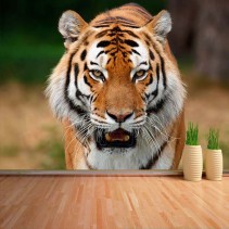 Fotomural Tigre