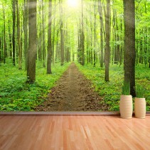 Fotomural Sendero en Bosque