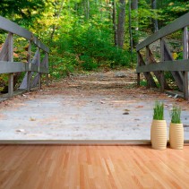 Fotomural Puente en el bosque