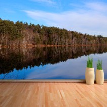 Fotomural Bosque reflejado