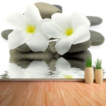 Fotomural Flores y piedras