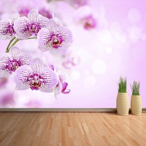 Fotomural Orquídeas