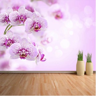 Fotomural Orquídeas