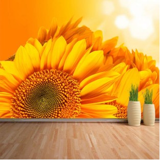 Fotomural Girasoles Fotomural Girasoles
