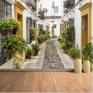 Fotomural Calle de Córdoba Fotomural Calle de Córdoba