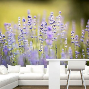 Fotomural Lavanda Fotomural Lavanda