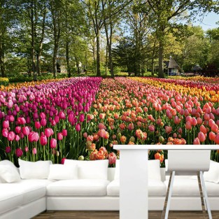 Fotomural Campo Tulipanes Fotomural Campo Tulipanes