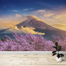 Fotomural Monte Fuji y Árboles de cerezos en Japón