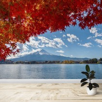 Fotomural Monte Fuji en otoño
