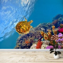 Fotomural Tortuga en arrecife