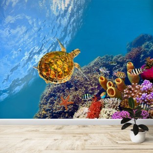 Fotomural Tortuga en arrecife