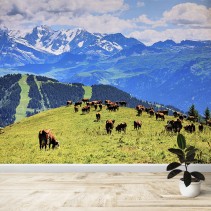 Fotomural Vacas en los Alpes