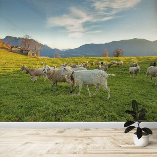 Fotomural Granja ovejas y cabras Fotomural Granja ovejas y cabras