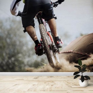 Fotomural Mountain Bike 2