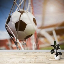 Fotomural Balon en la red