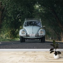 Fotomural Volkswagen Escarabajo Carretera