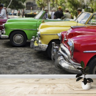 Fotomural Coches Clasicos Colores