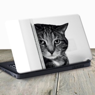 Vinilo para portátil gato B y N