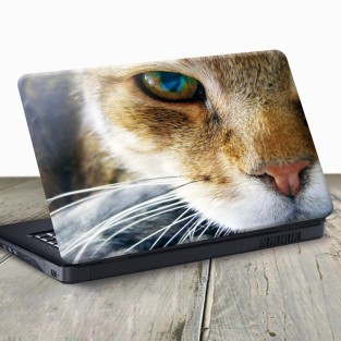 Vinilo para portátil gato