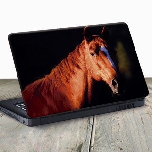 Vinilo para portátil caballo