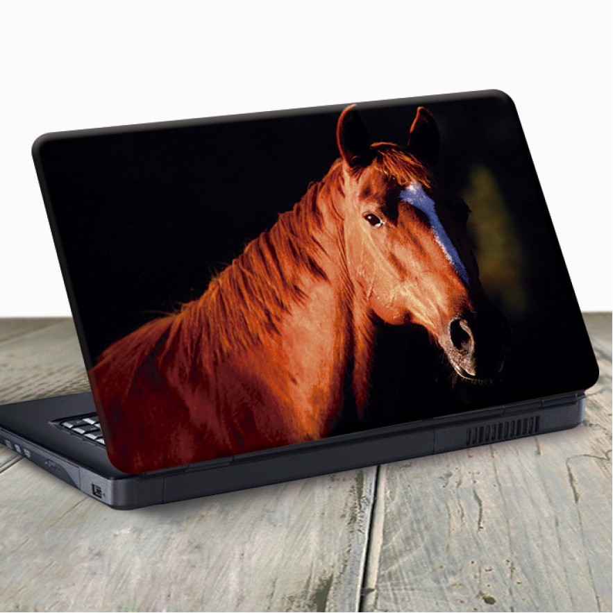 Vinilo para portátil caballo