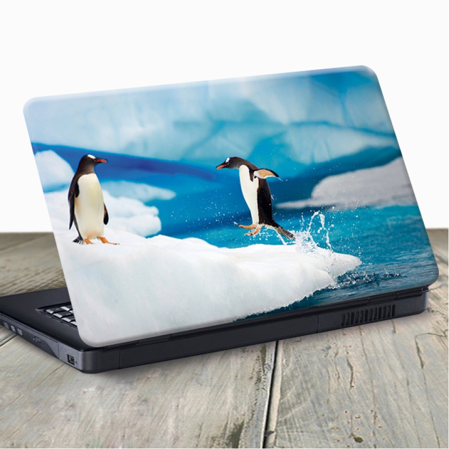Vinilo para portátil pingüinos