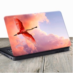 Vinilo para portátil pájaro espátula