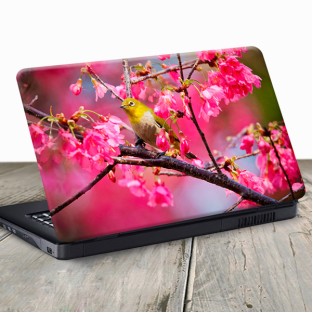 Vinilo para portátil ave en árbol flor de cerezo