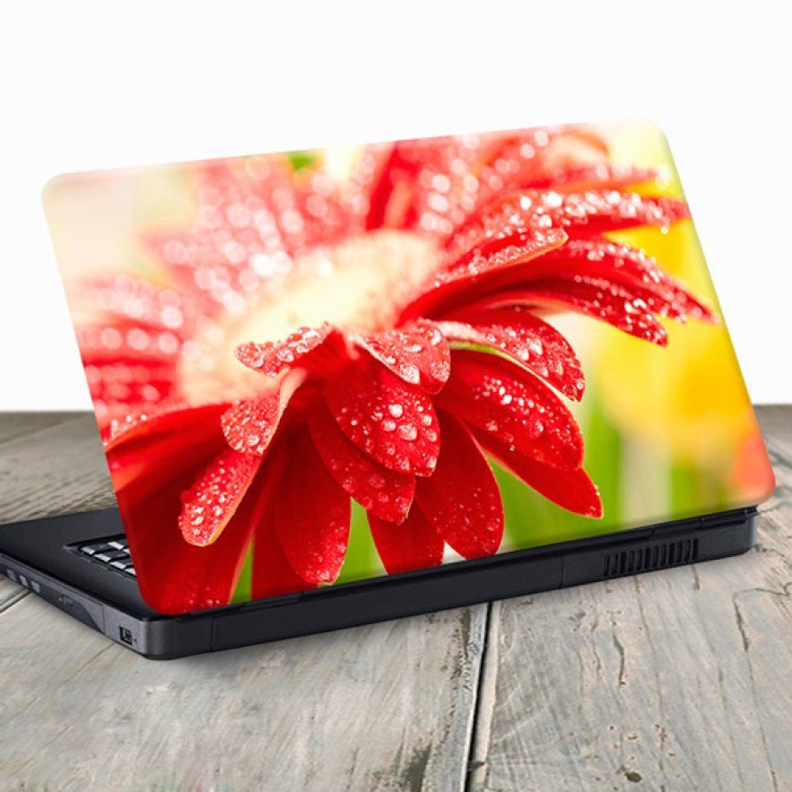 Vinilo para portátil gerbera