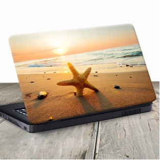 Vinilo para portátil estrella de mar Vinilo para portátil estrella de mar